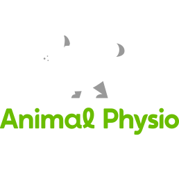 Animal Physio Branding